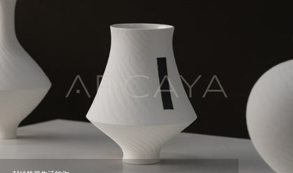 Dadan Jingdezhen Ceramic Vase Dried Flowers - scene