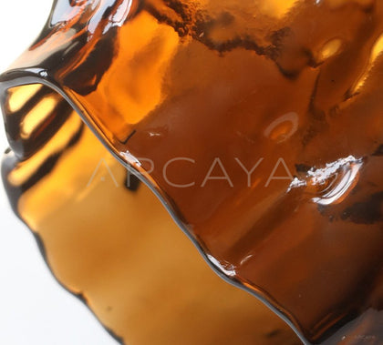 Modern Glass Hydroponic Vase - scene