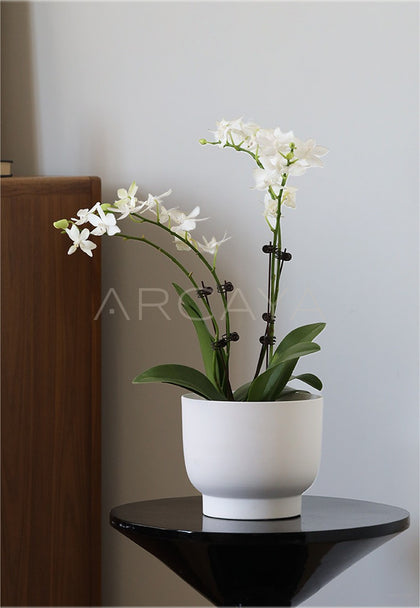 New Chinese Wabi Sabi Planter Jar Vase - scene
