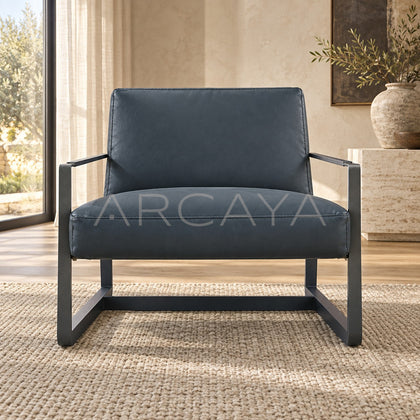 Lounge Chair D 81 - main