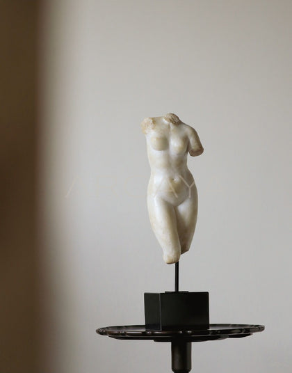 Venus Bust Sculpture Mid Century - scene