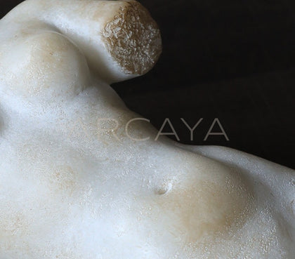 Venus Bust Sculpture Mid Century - scene