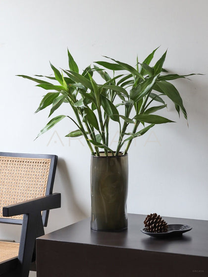 Lucky Bamboo Wide Mouth Glass Vase - scene