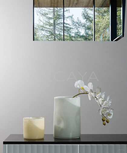 Lucky Bamboo Wide Mouth Glass Vase - scene