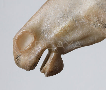Horse Head Ornament - scene