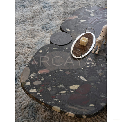 Natural Art Coffee Table - scene