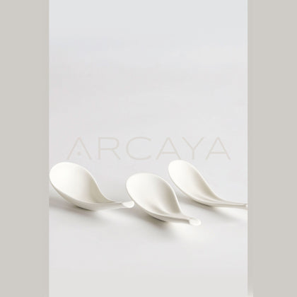 Rongbai Collab Minimalist Leaf Spoon - scene