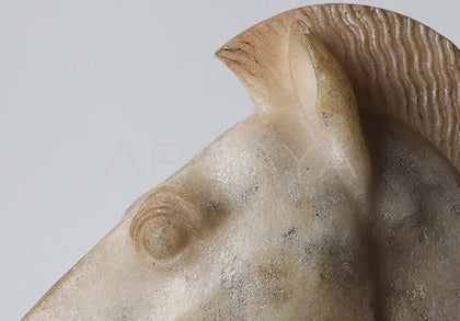 Horse Head Ornament - scene
