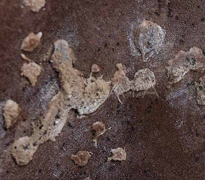 Mixed Media Wall Art 2503D0165 - detail