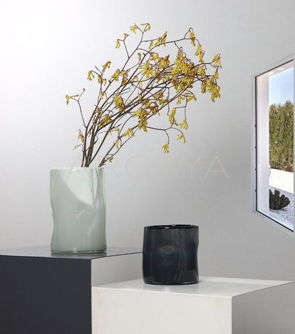 Lucky Bamboo Wide Mouth Glass Vase - scene