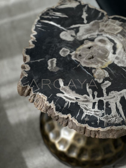 Petrified Wood Wabi Sabi Side Table - scene