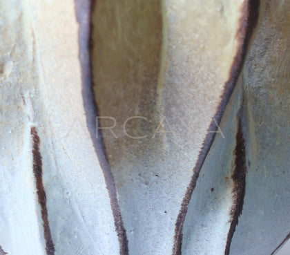Jingdezhen Wabi Sabi Art Vase Chinese - scene