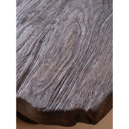 Root Tree Stump Coffee Table - scene