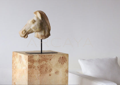 Horse Head Ornament - scene