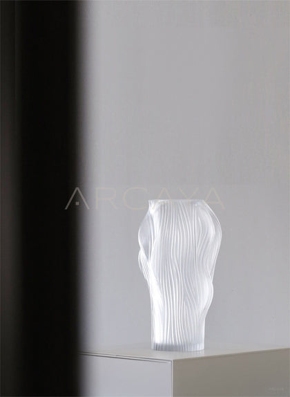 Clear Glass Hydroponic Vase Modern - scene