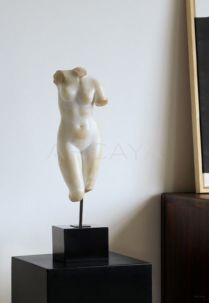 Venus Bust Sculpture Mid Century - scene
