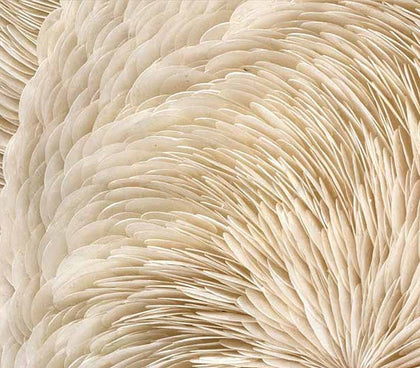 Round Wall Art 2503H0006 - detail