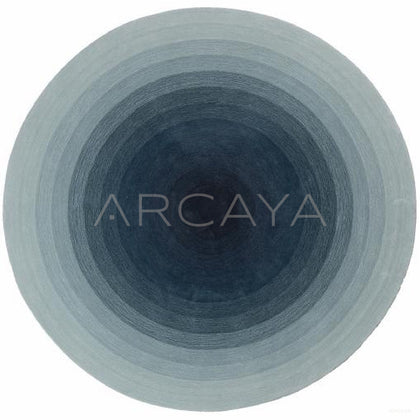 Custom Hand Tufted Rug Dsm P170 L F Jy2024 10005 3 - scene