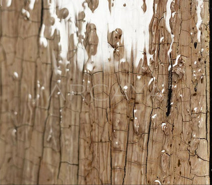 Mixed Media Wall Art 2509D0059 - detail