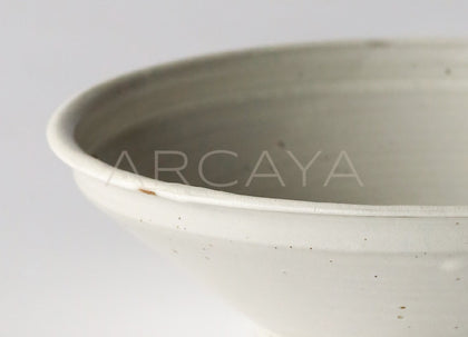 Amu Collab Kohiki Ceramic Noodle Bowl - scene