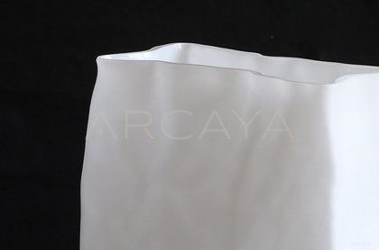 Clear Glass Wide Mouth Vase - scene