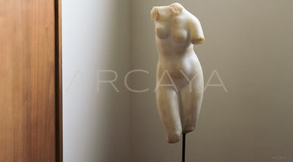 Venus Bust Sculpture Mid Century - scene