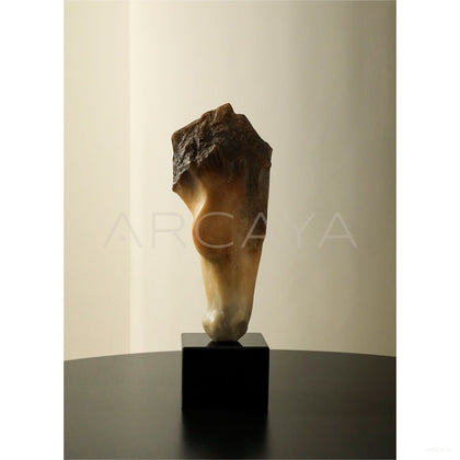 Horse Ornament Entryway - scene