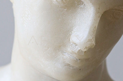 Venus Sculpture Ornament - scene