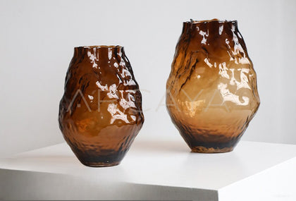 Modern Glass Hydroponic Vase - scene