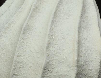 Wabi Sabi Ribbed White Ceramic Vase - scene
