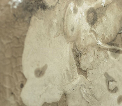 Mixed Media Wall Art 2411G0011 - detail
