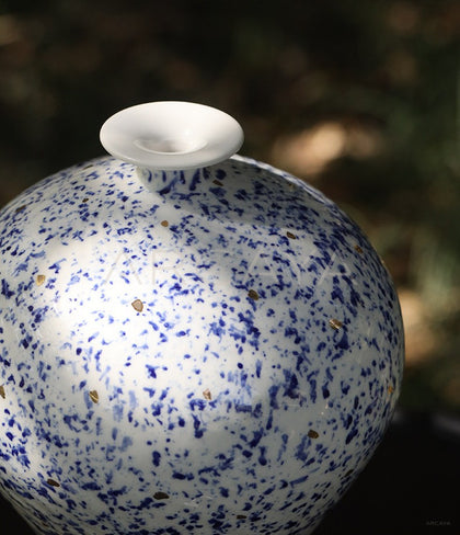 Dadan Jingdezhen Ceramic Jar Vase Hydroponic - scene