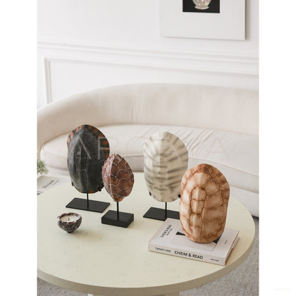 Faux Tortoise Shell Decor — Decorative Objects - scene