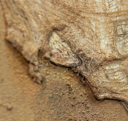 Mixed Media Wall Art 2503D0063 - detail