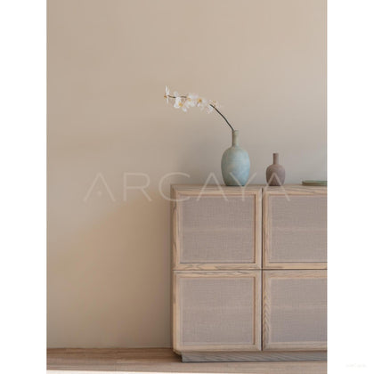 Xufang Cabinet - scene