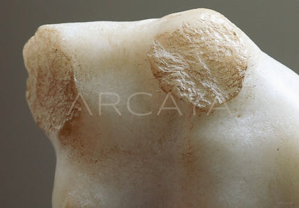 Venus Bust Sculpture Mid Century - scene