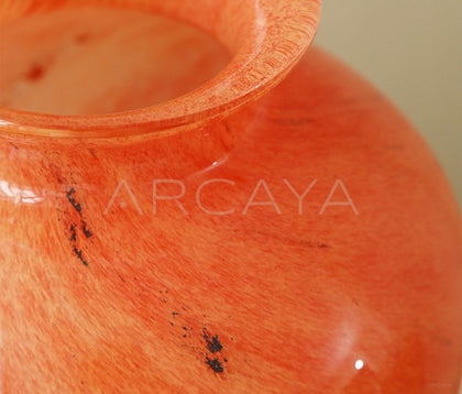 Glass Hydroponic Art Vase - scene
