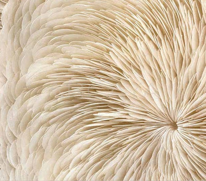Round Wall Art 2503H0006 - detail