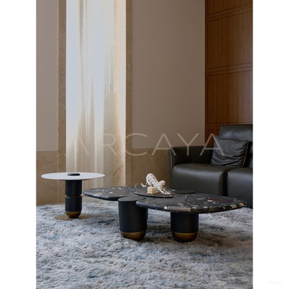 Natural Art Coffee Table - scene