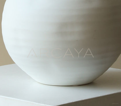 White Vintage Jar Hydroponic Vase - scene