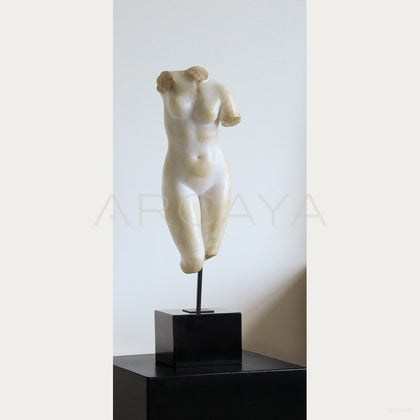 Venus Bust Sculpture Mid Century - main