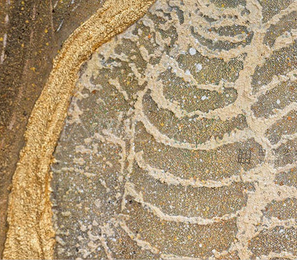 Mixed Media Wall Art 2509D0029 - detail