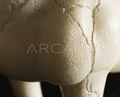 Horse Ornament Vintage - scene