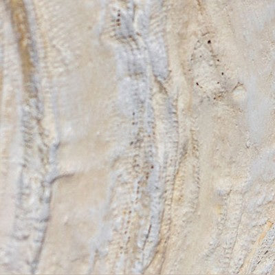 Wall Art Set 2503D0186 - detail