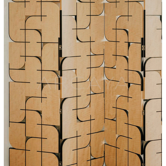 Light And Shadow Folding Screen - scene