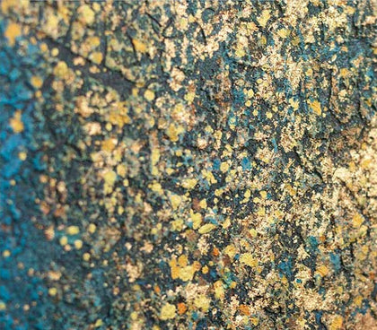 Mixed Media Wall Art 2503D0195 - detail
