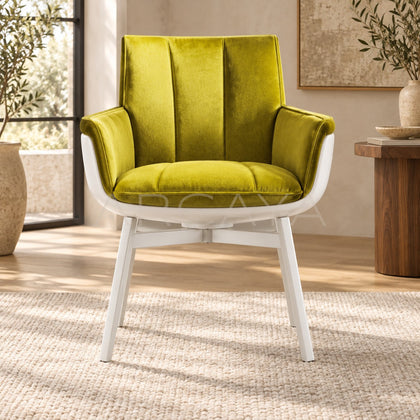 Dining Chair C66 - main
