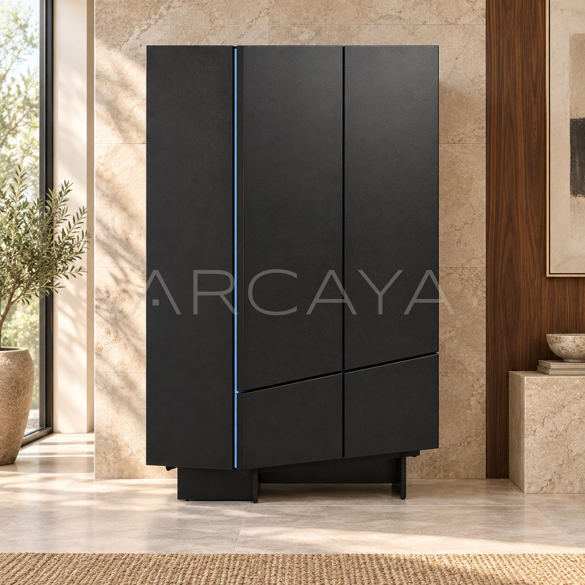 Cabinet Sm D48 in detail