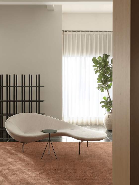 Modern Minimalist