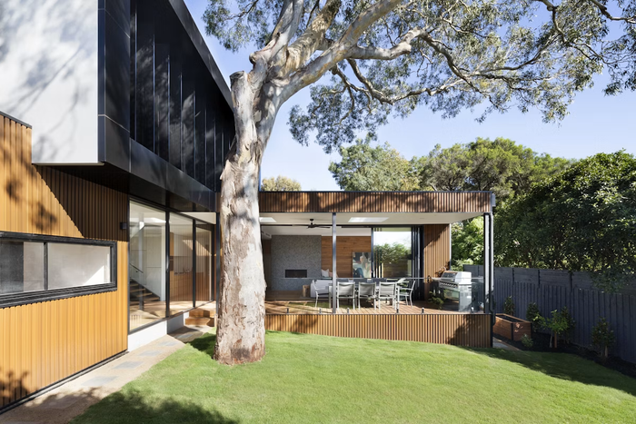 American Transitional